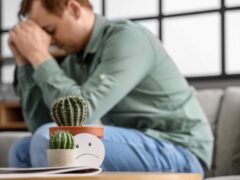Cacti and sad smile on table of young man with hemorrhoids at home, closeup